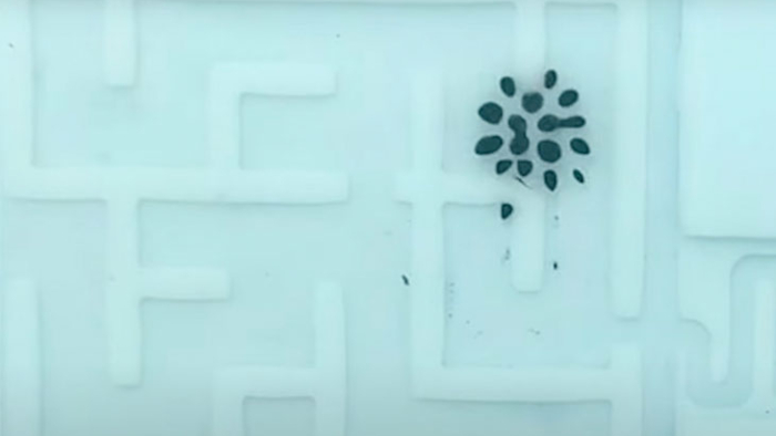 Robot liquido ferrofluido