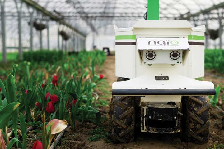 Naio Robots para la escasez de alimentos